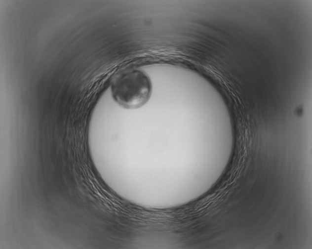 X0000116271110200911301010