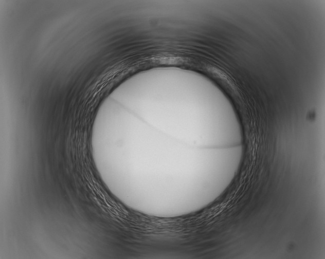 X0000116271111200911301010