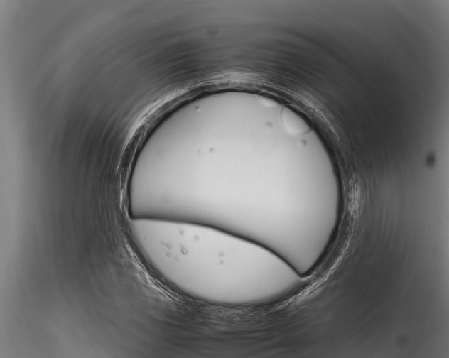 X0000116271117200911301010