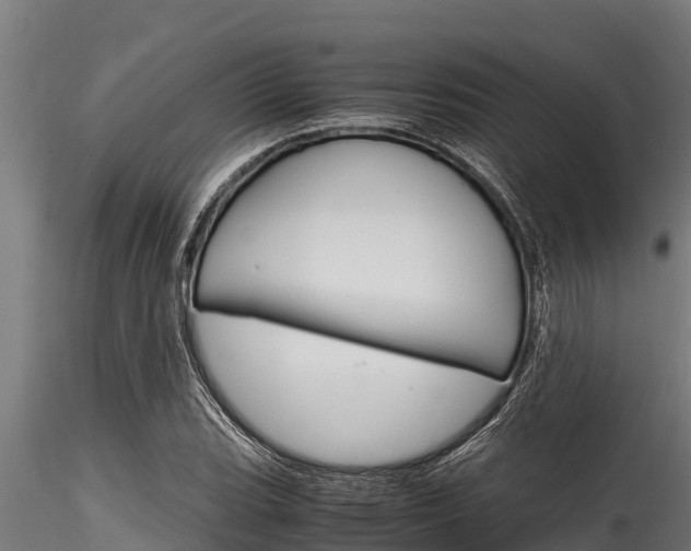 X0000116271119200911301010