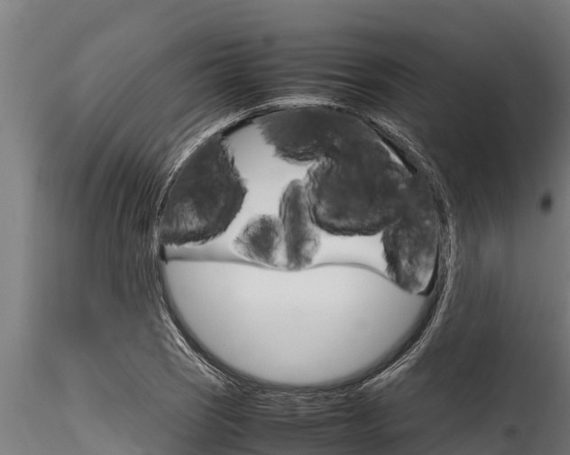 X0000116271121200911301010