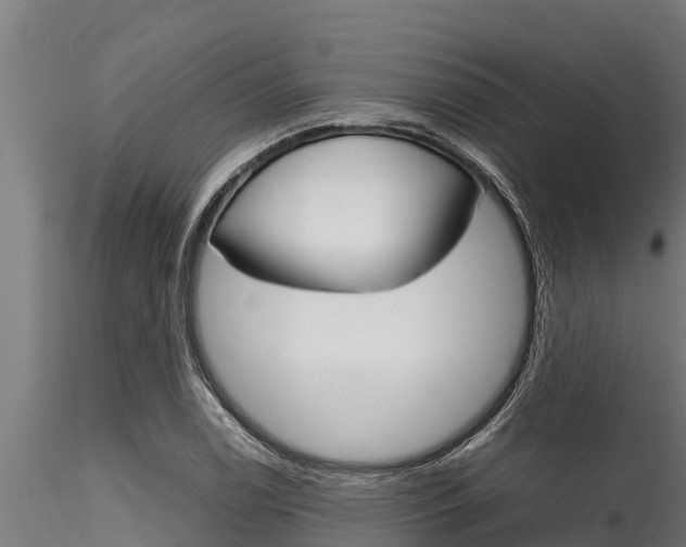 X0000116271122200911301010