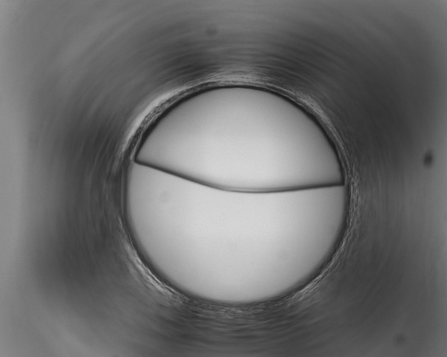 X0000116271123200911301010