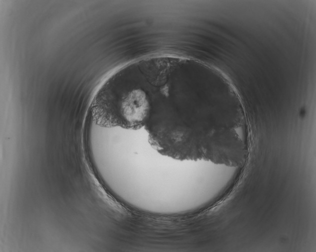 X0000116271125200911301010