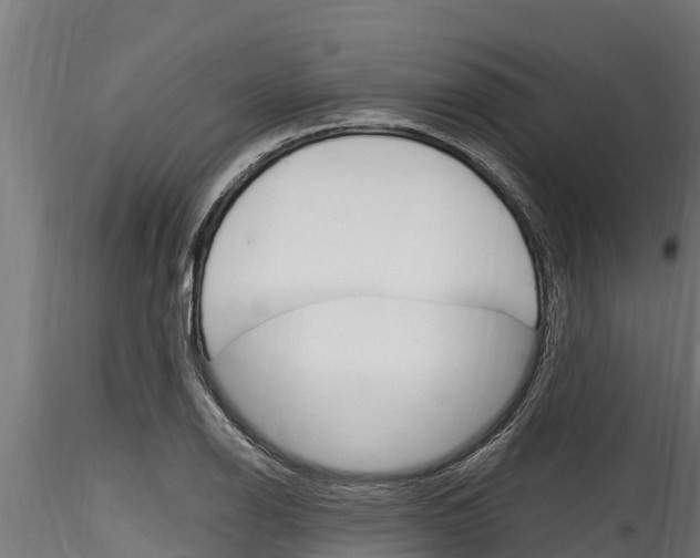 X0000116271126200911301010
