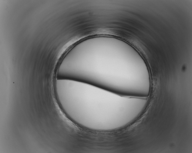 X0000116271133200911301010