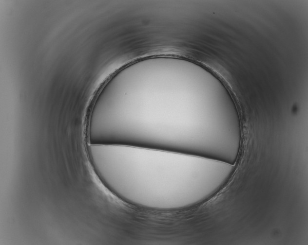X0000116271135200911301010