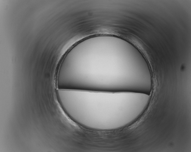 X0000116271141200911301010