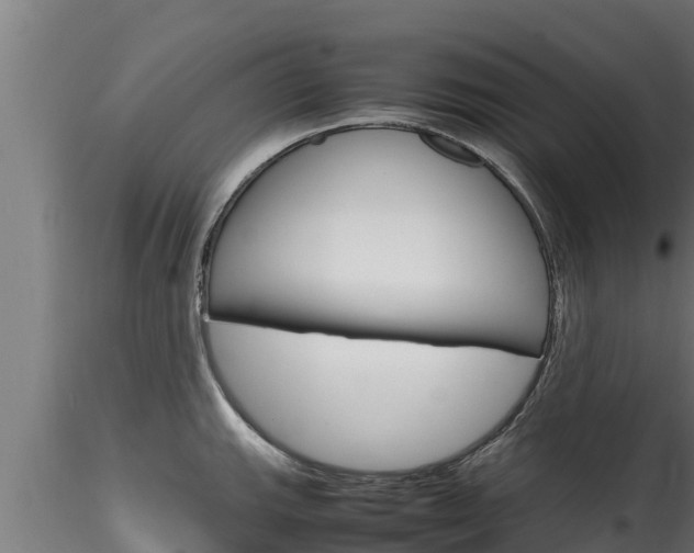 X0000116271143200911301010