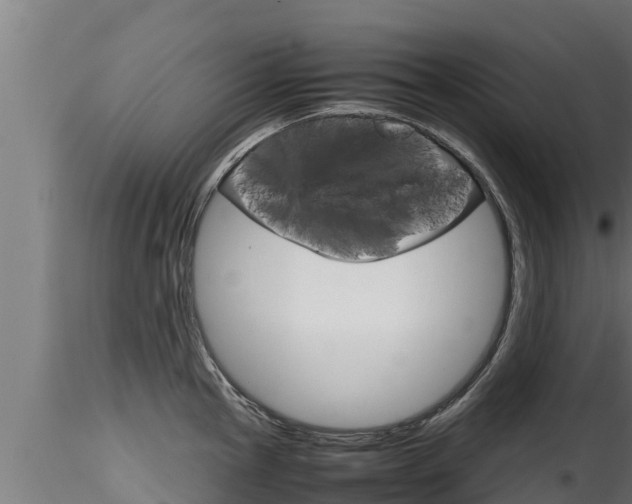 X0000116271145200911301010