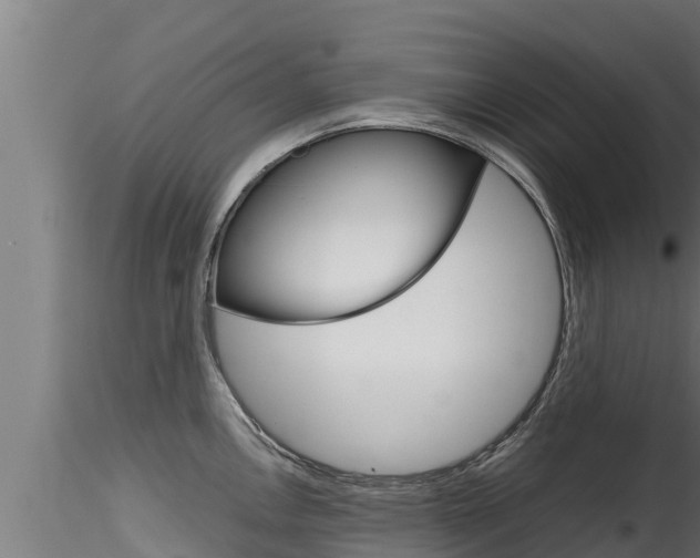 X0000116271146200911301010