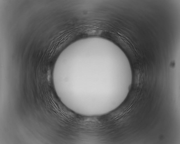 X0000116271154200911301010