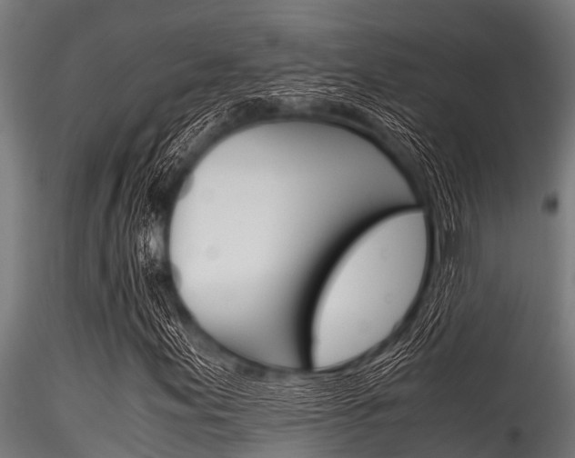 X0000116271155200911301010