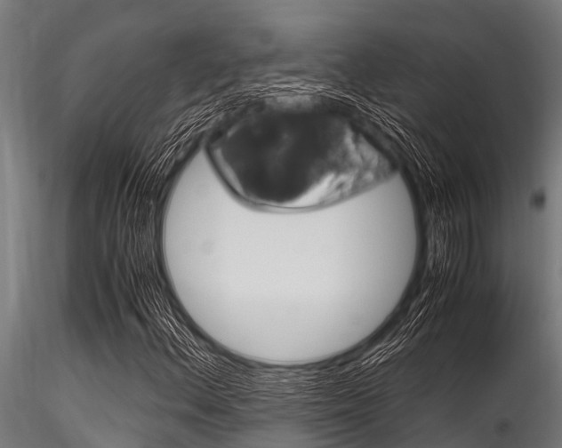 X0000116271156200911301010