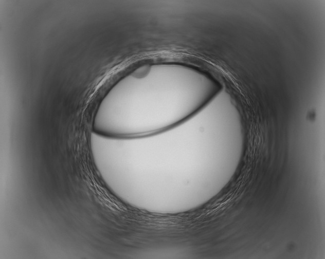 X0000116271160200911301009