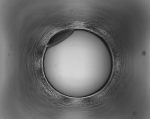 X0000116271161200911301009