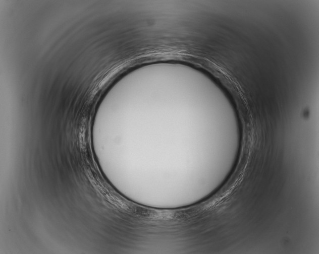 X0000116271162200911301009