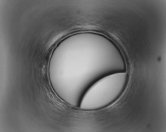 X0000116271163200911301009