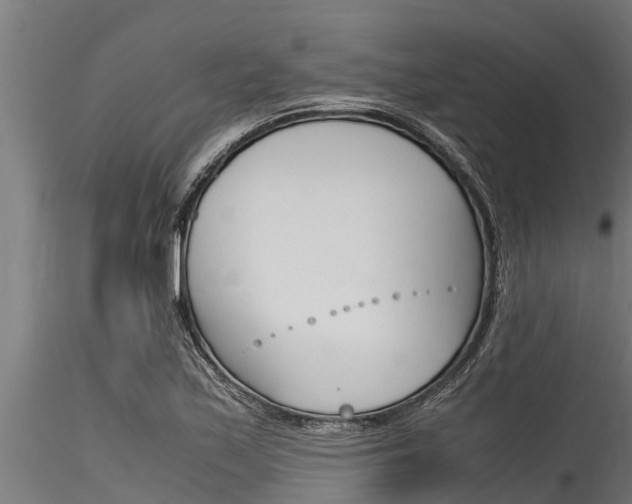X0000116271171200911301009