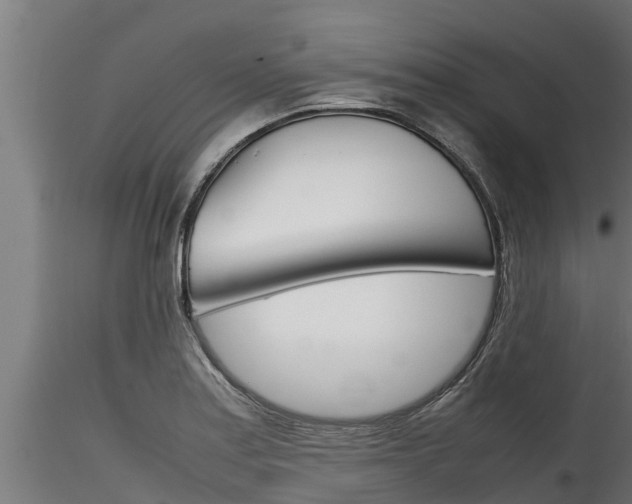 X0000116271179200911301009