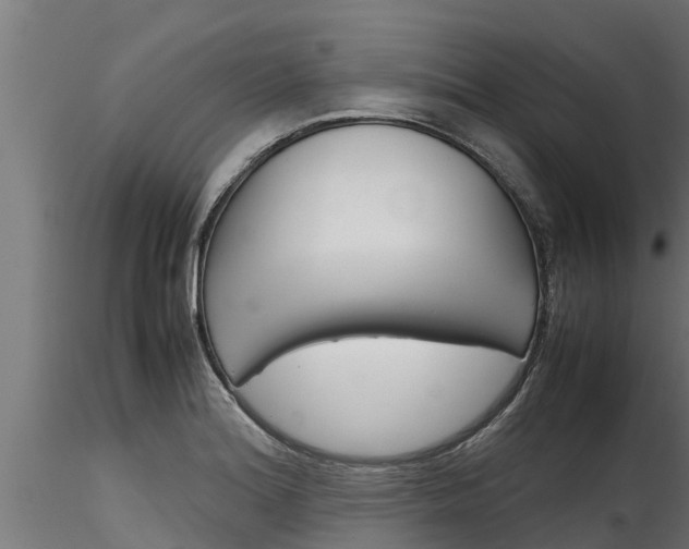 X0000116271180200911301009