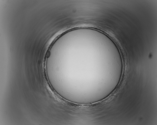 X0000116271181200911301009