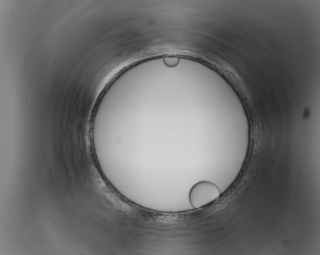 X0000116271182200911301009