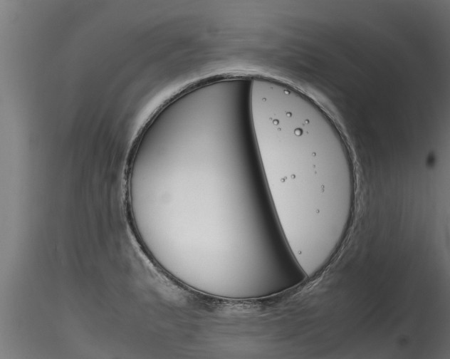 X0000116271183200911301009