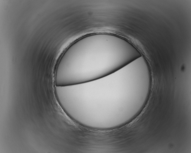 X0000116271184200911301009