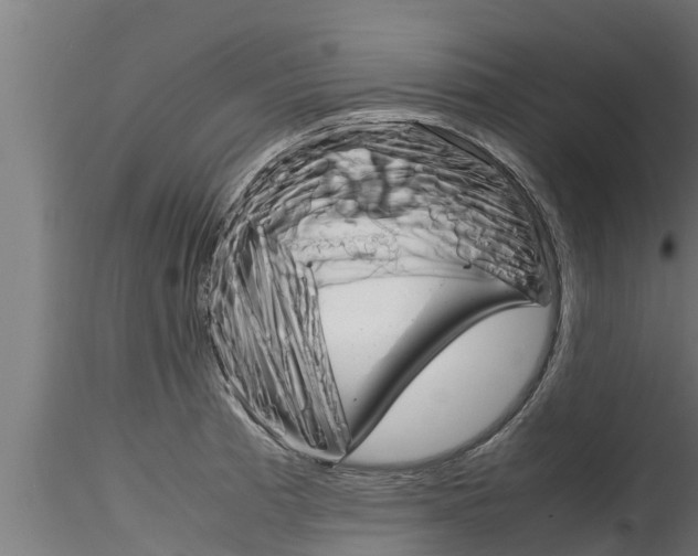 X0000116271185200911301009