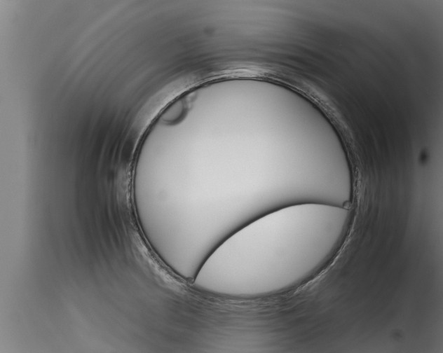 X0000116271186200911301009