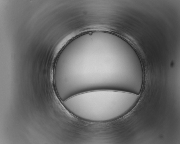 X0000116271188200911301009