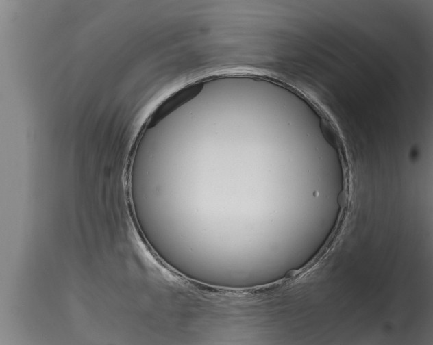 X0000116271189200911301009
