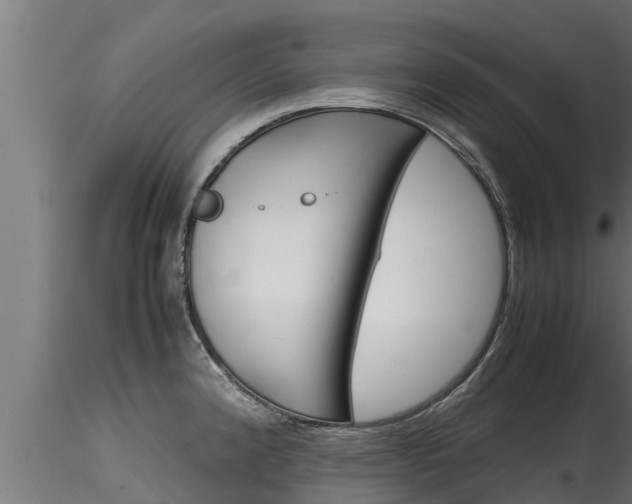 X0000116271192200911301009