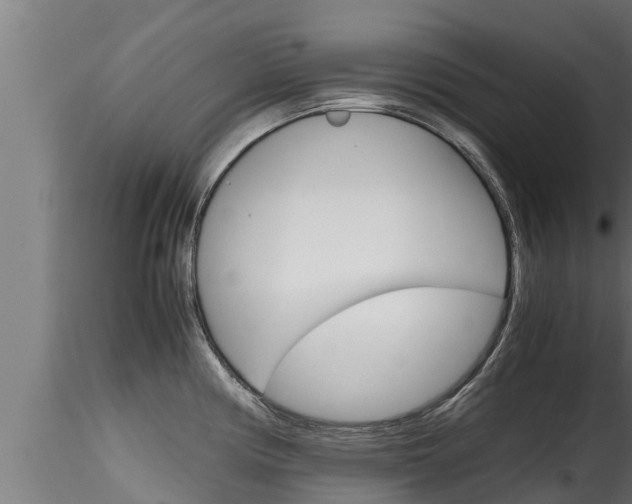 X0000116271194200911301009