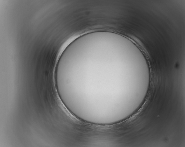 X0000116271196200911301009
