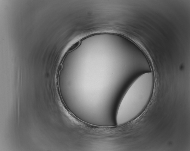 X0000116271197200911301009