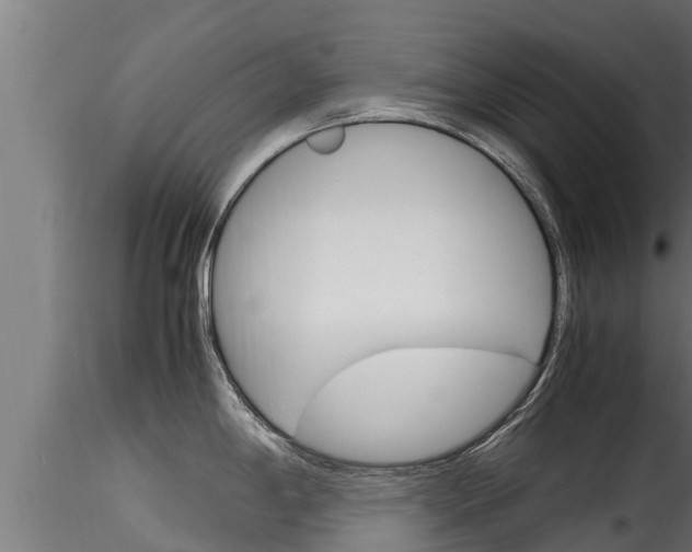 X0000116271198200911301009