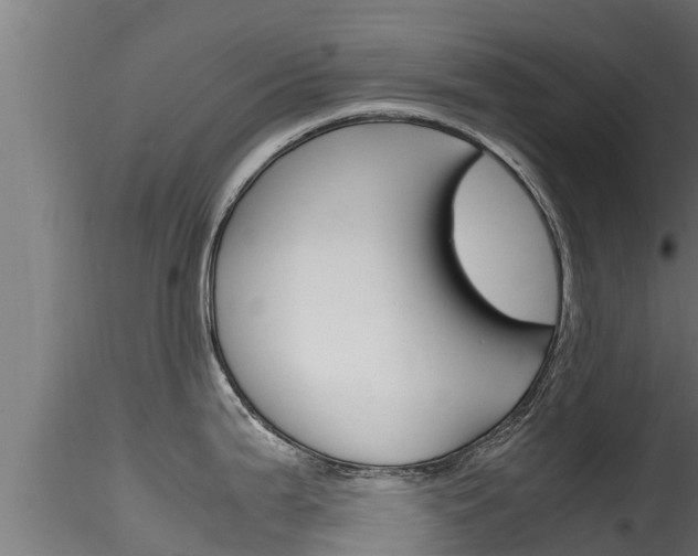 X0000116271199200911301009