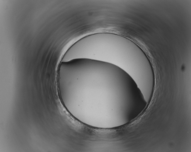 X0000116271200200911301009