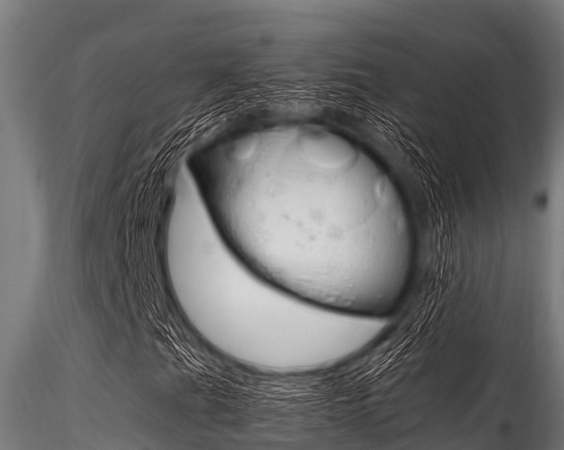 X0000116271201200911301008