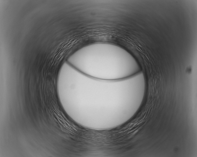 X0000116271202200911301008
