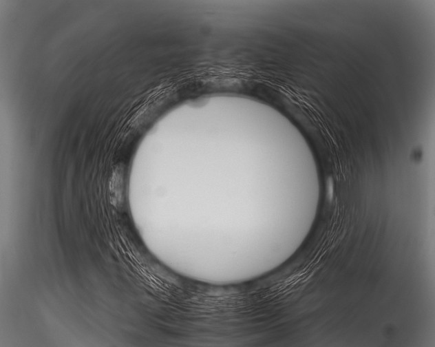 X0000116271203200911301008