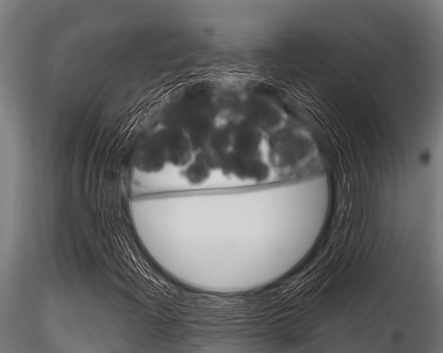 X0000116271204200911301008