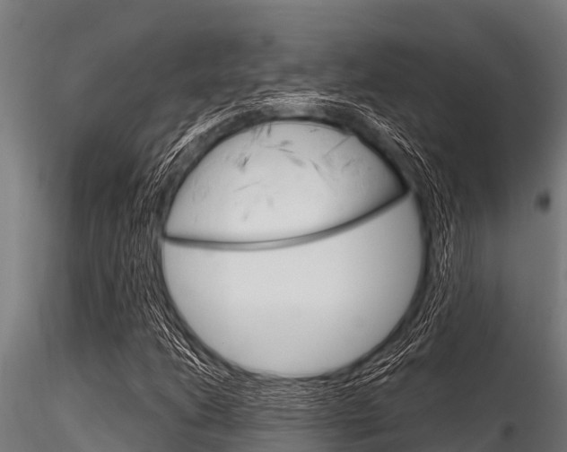 X0000116271206200911301008