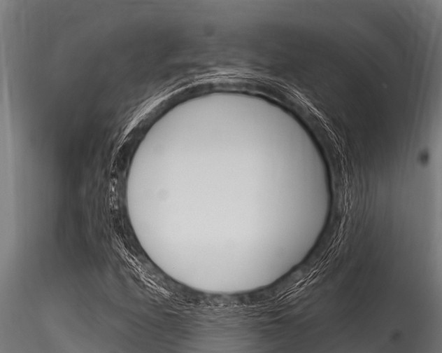 X0000116271208200911301008