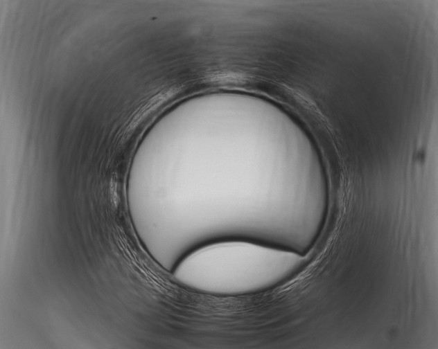 X0000116271209200911301008
