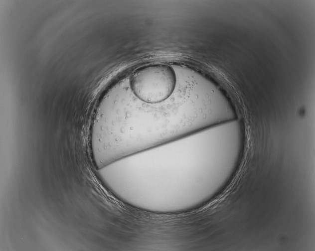 X0000116271212200911301008