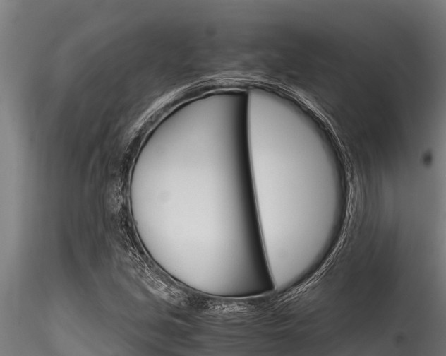 X0000116271213200911301008
