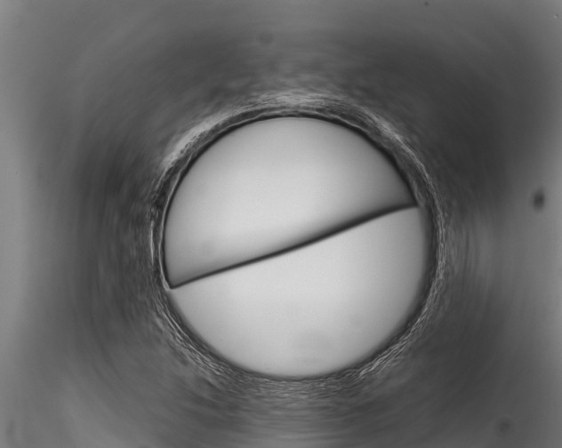 X0000116271214200911301008